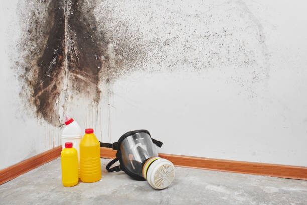 Best Emergency Mold Removal  in Crystal City, MO